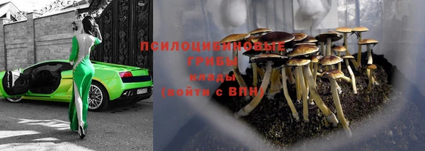 герыч Мегион