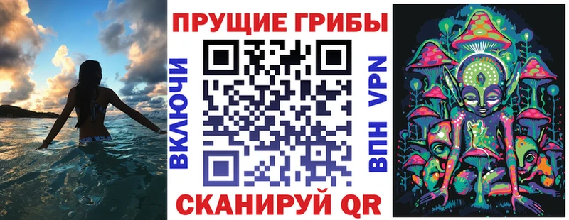 Псилоцибиновые грибы мухоморы  мега вход  Чернушка 