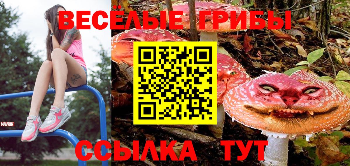 Чернушка  Псилоцибиновые грибы Psilocybe  даркнет сайт  Псилоцибиновые грибы GOLDEN TEACHER  Вход с VPN 