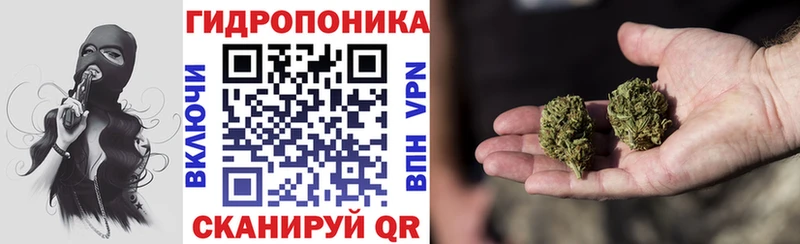 Марихуана индика  где найти наркотики  Чернушка 